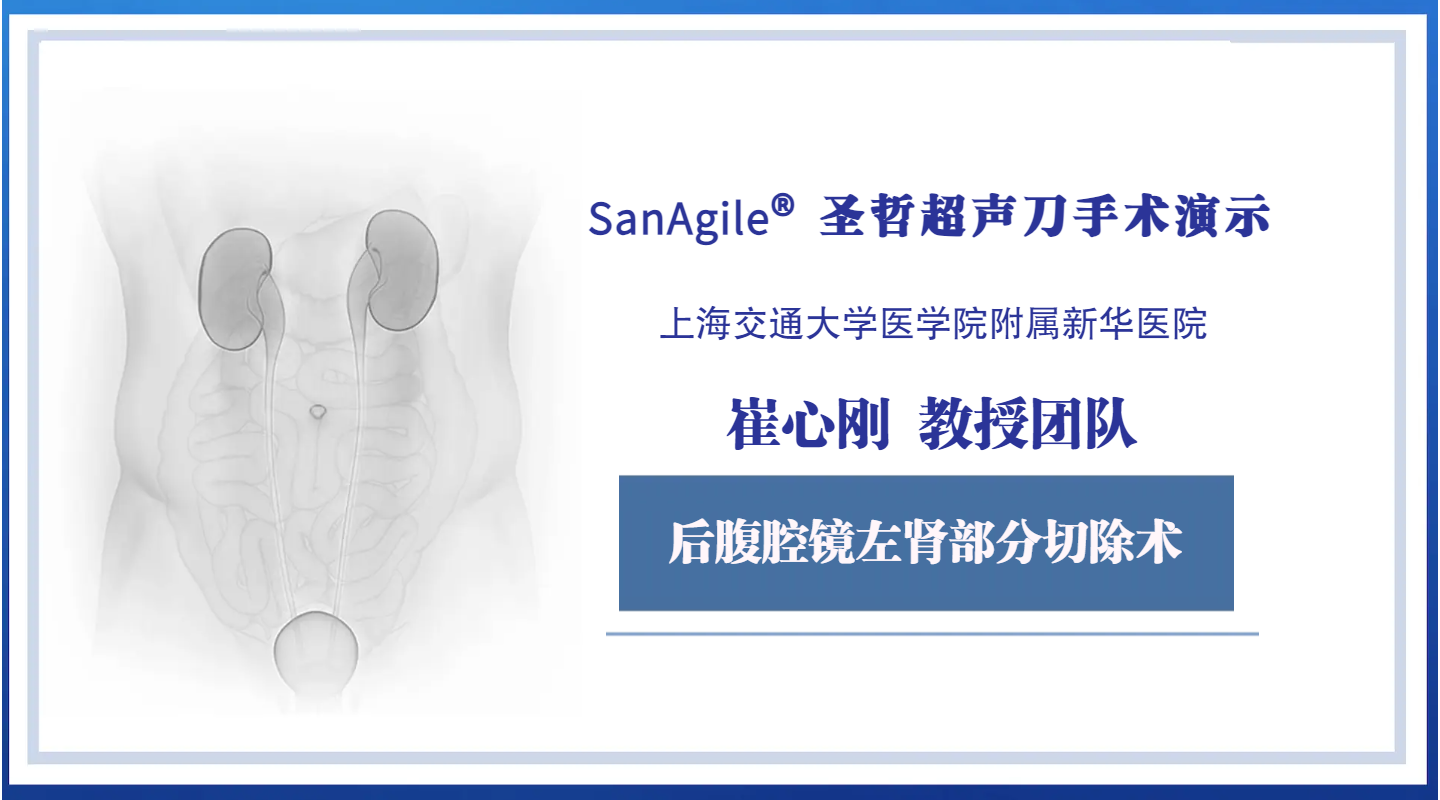 后腹腔镜左肾部分切除术